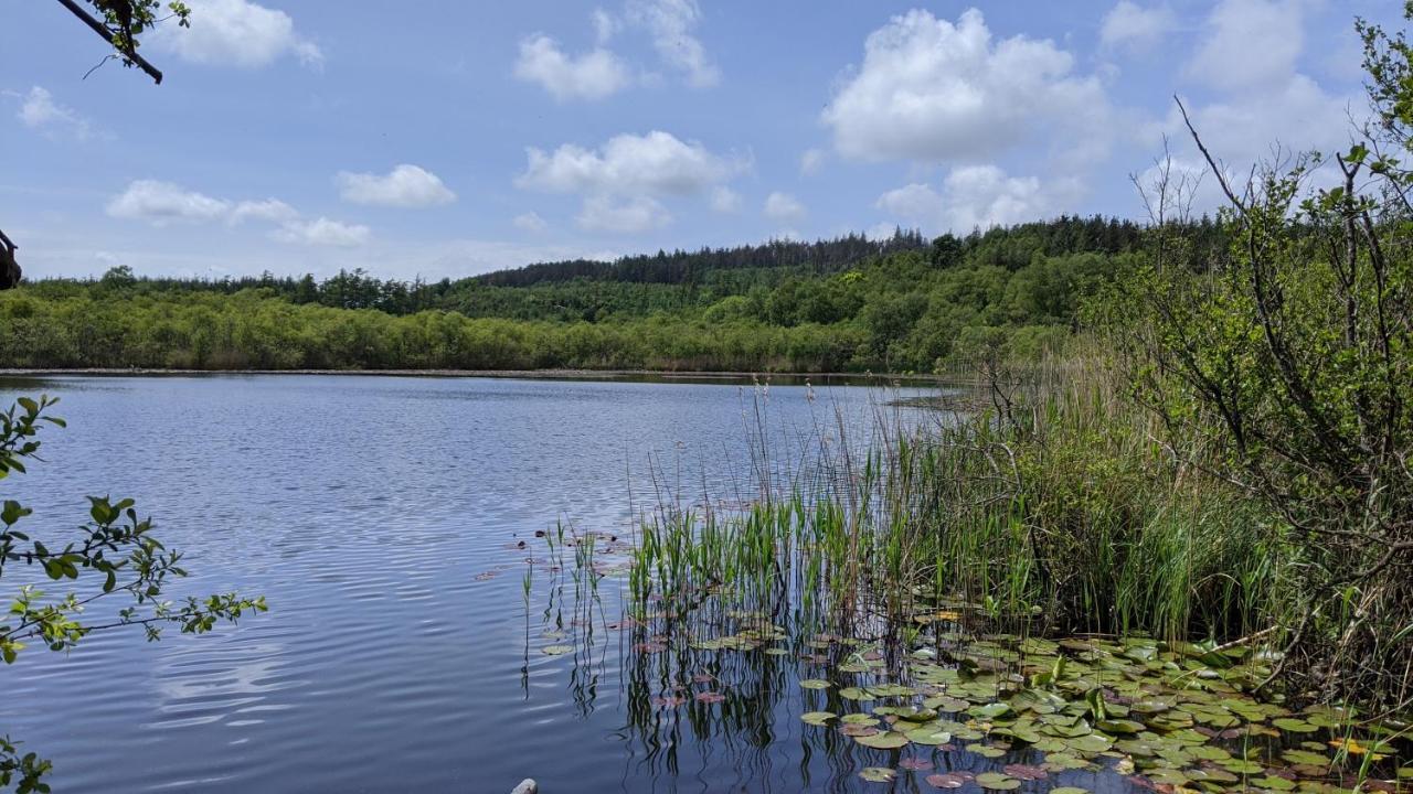 No7 Glan Nodwydd Villa Pentraeth Eksteriør billede